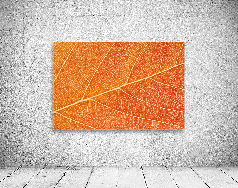 Autumn Leaf Wall Preview
