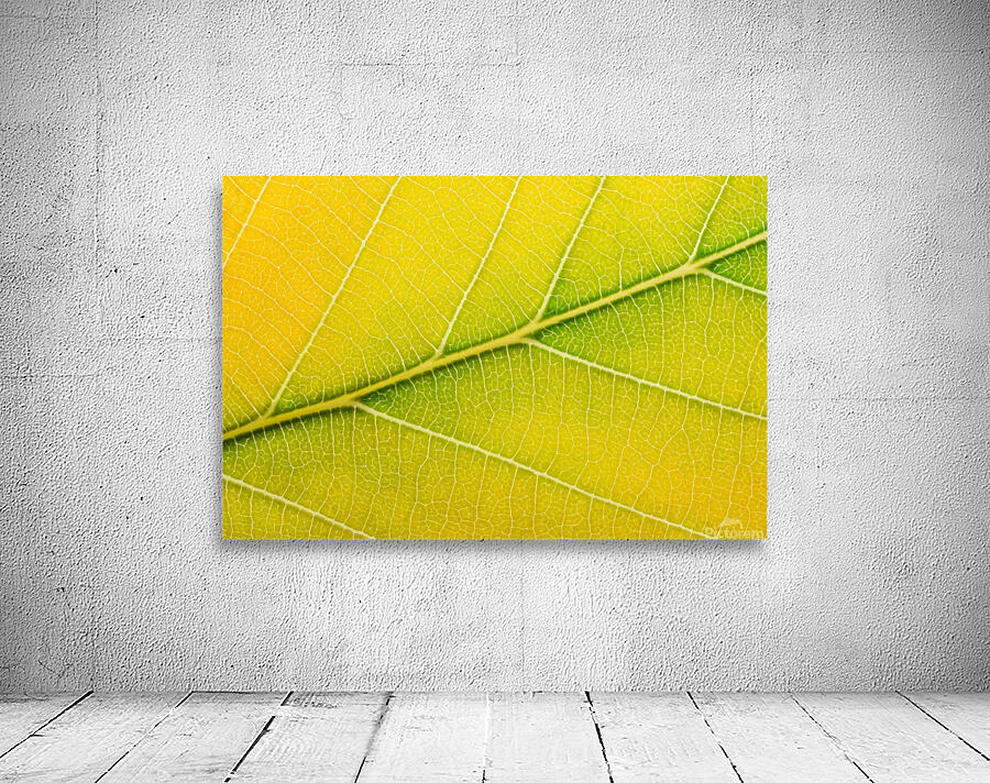 Autumn Leaf Wall Preview