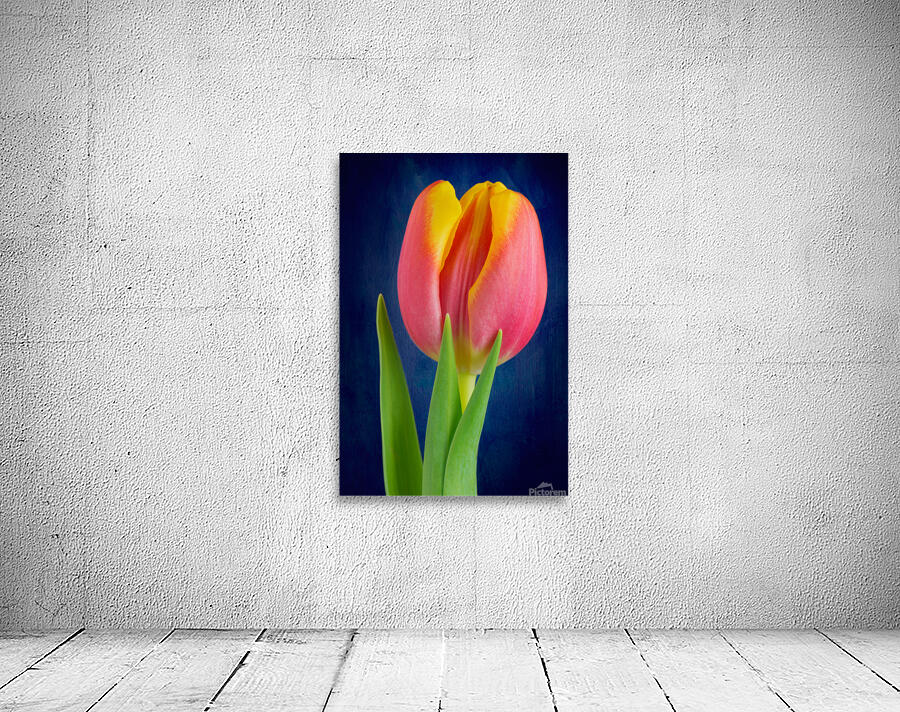 Tulip Wall Preview