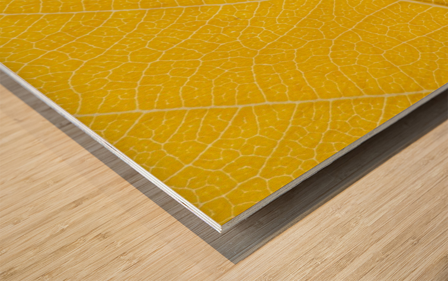 Autumn Leaf Wood print