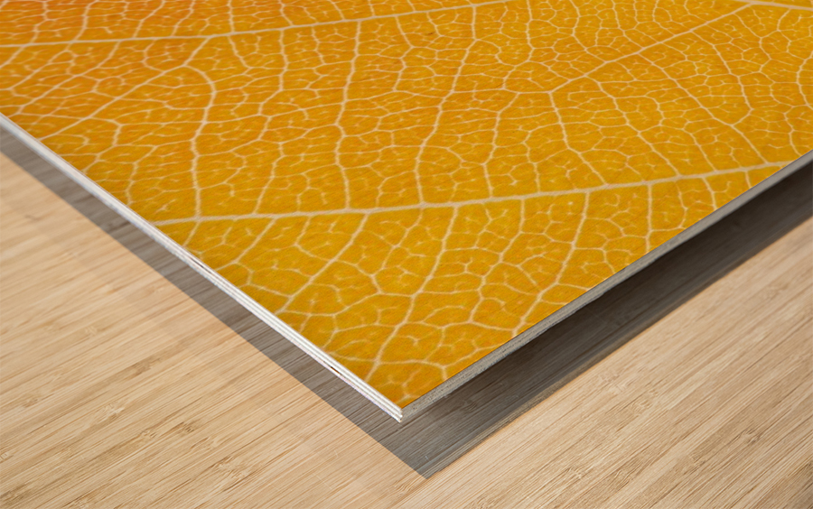 Autumn Leaf Wood print