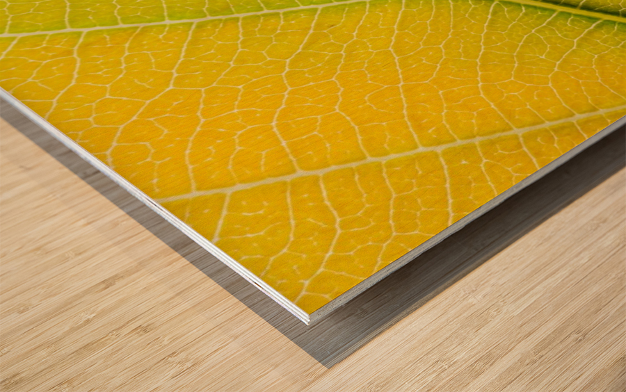 Autumn Leaf Wood print