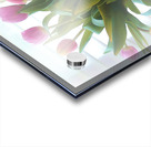 Soft Tulip Spray  Acrylic print