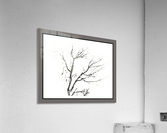 Antique charcoal sketch tree  Acrylic Print