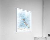 Heron on the Edge Acrylic Print