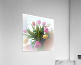 Soft Tulip Spray  Acrylic Print
