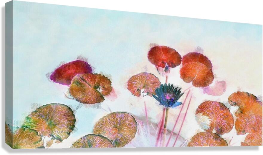 Lily Pads Contemporary Panoramic Canvas Print