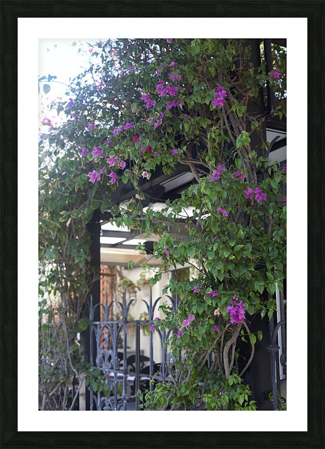 Naples Florida Patio Picture Frame print
