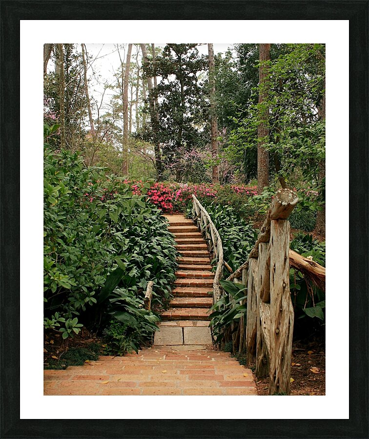 Steps at Bayou Bend Picture Frame print
