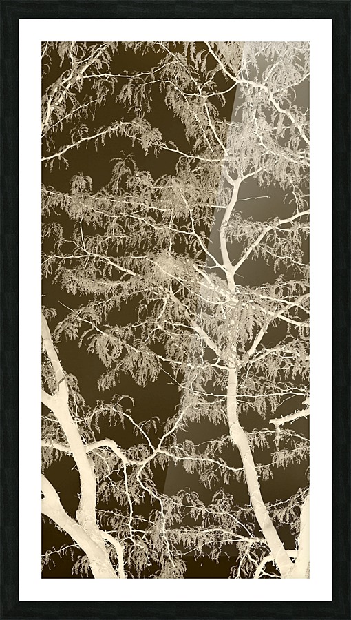 Lacey Sepia Tree middle Picture Frame print