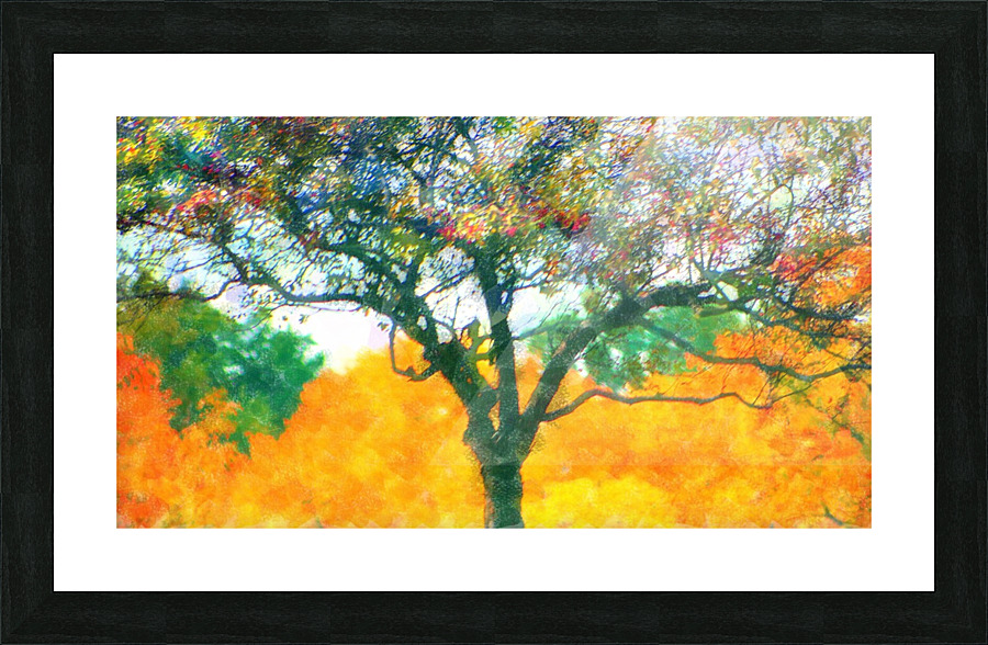Gauzy Fall Trees Yellow Picture Frame print