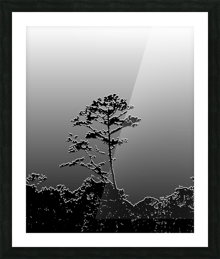 Plastered Tree in gradation Picture Frame print