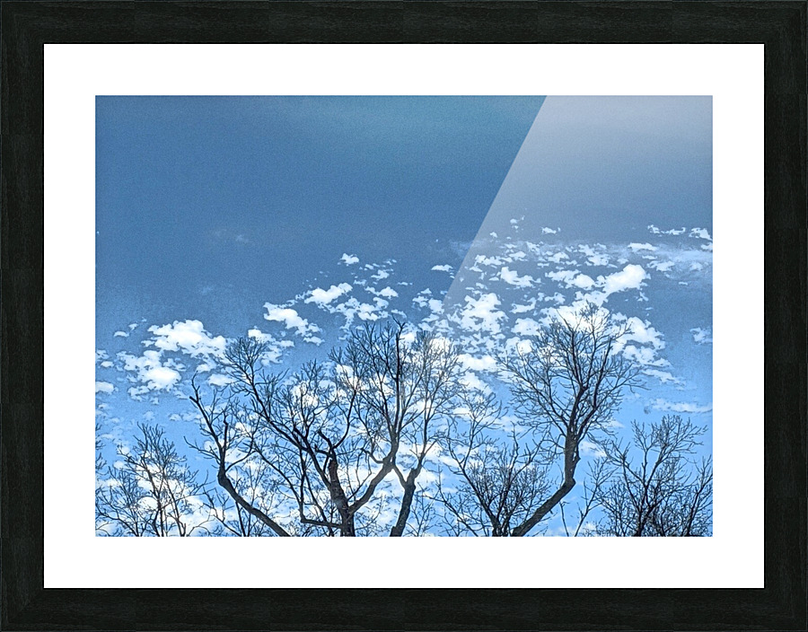 Branches and Cloud Puffs Picture Frame print