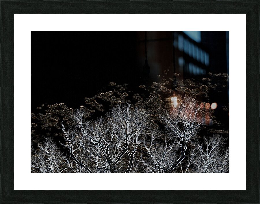 Glowing Edge Branches Picture Frame print