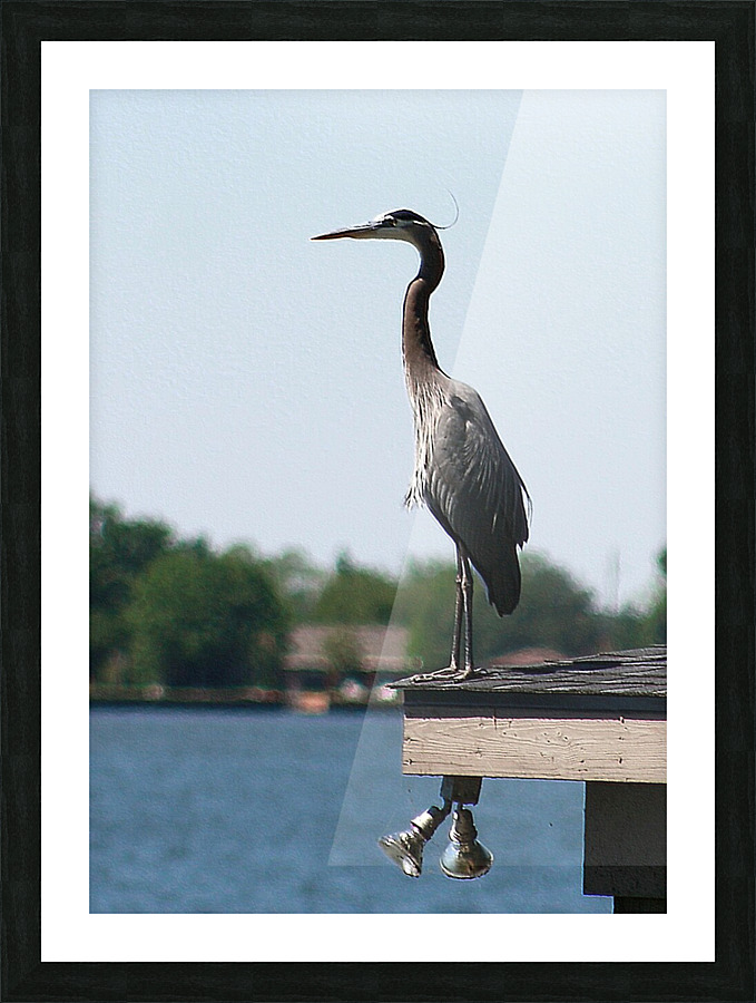 Embossed Heron  Picture Frame print