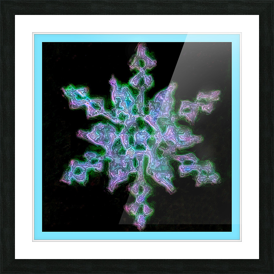 Snowflake  Turquoise Border  Picture Frame print