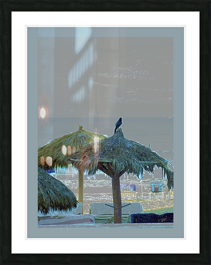 Crow on Thatched Umbrella Picture Frame print