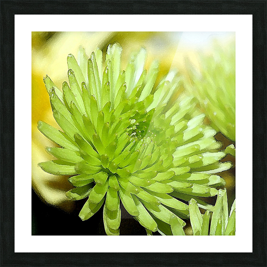Green Flower WC Picture Frame print