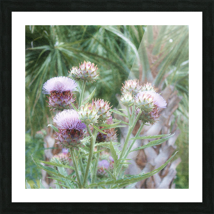 Spiky  Violet Flowers Picture Frame print