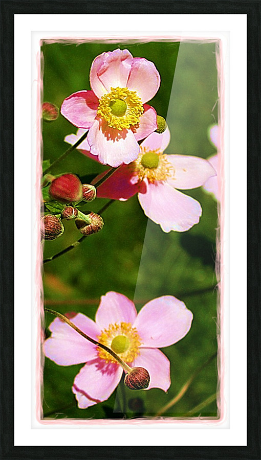 Pretty in Pink Picture Frame print