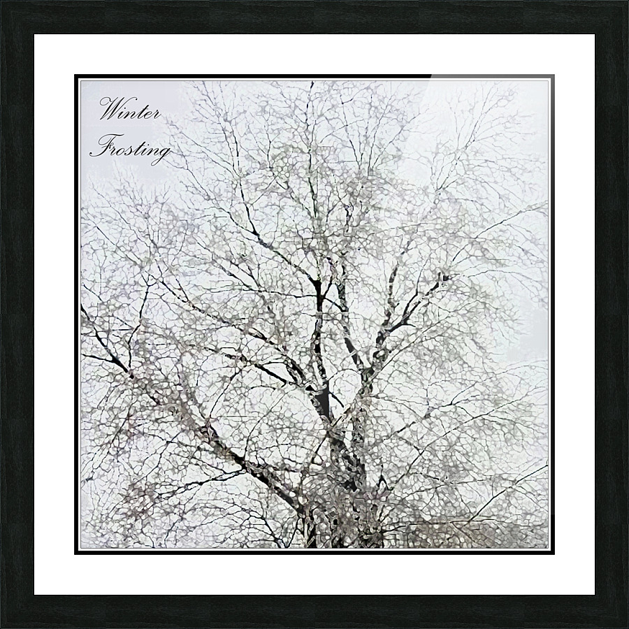 Winter Frosting Picture Frame print