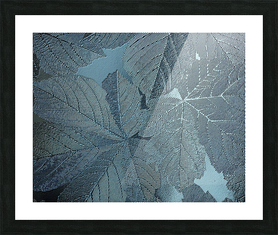 Embossed Blue Gray Leaves  Picture Frame print