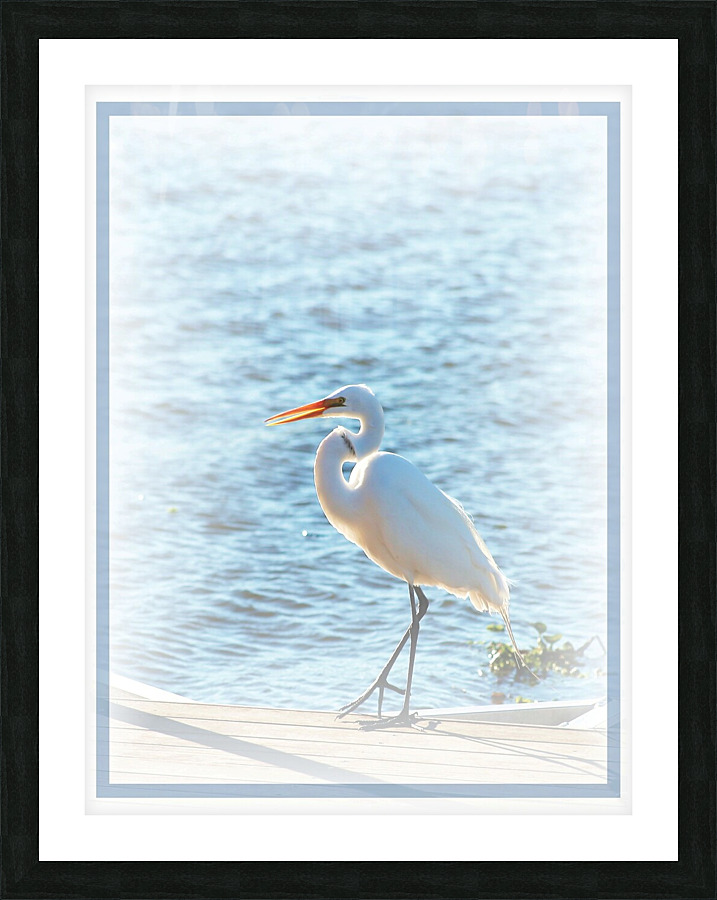 Heron on the Edge Picture Frame print