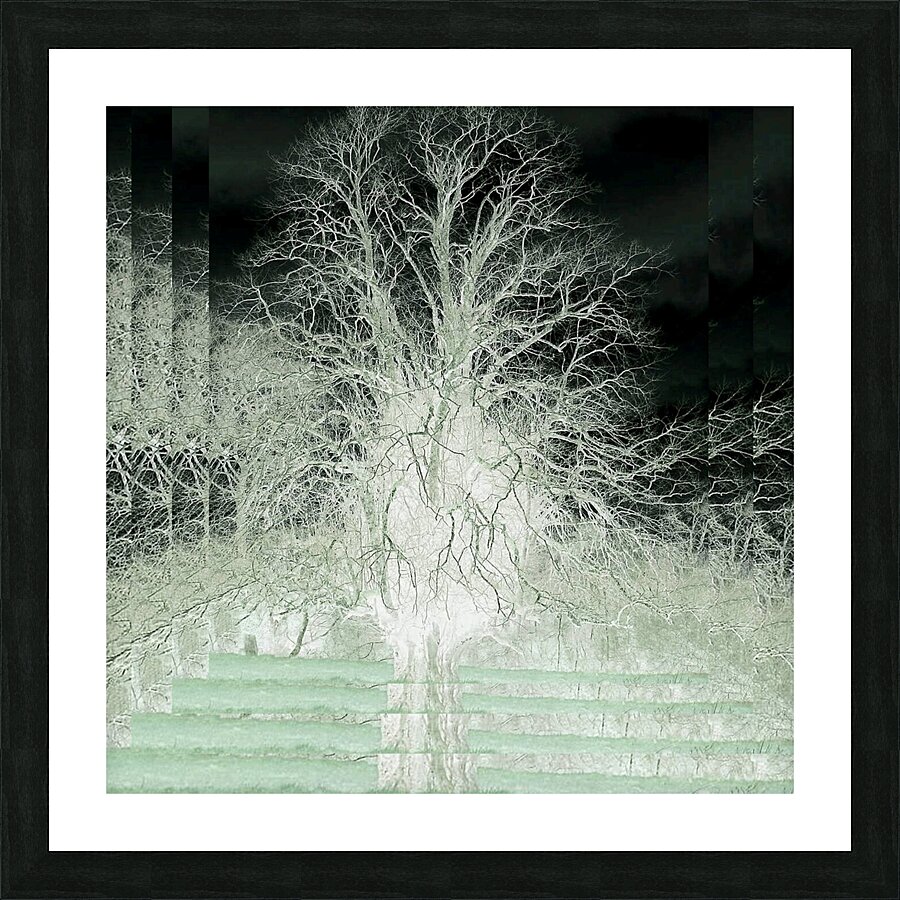 Dimensional Muted Green Tree Picture Frame print