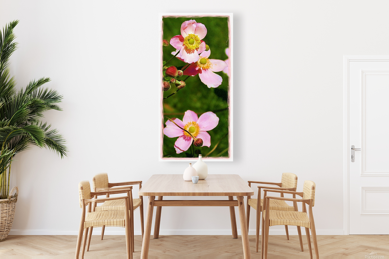 Pretty in Pink Reproduction