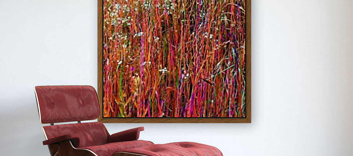 Colorful Grasses by Ellen Barron OReilly