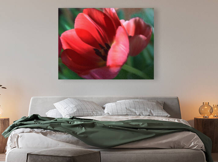 Tulip Red Film Grain by Ellen Barron OReilly
