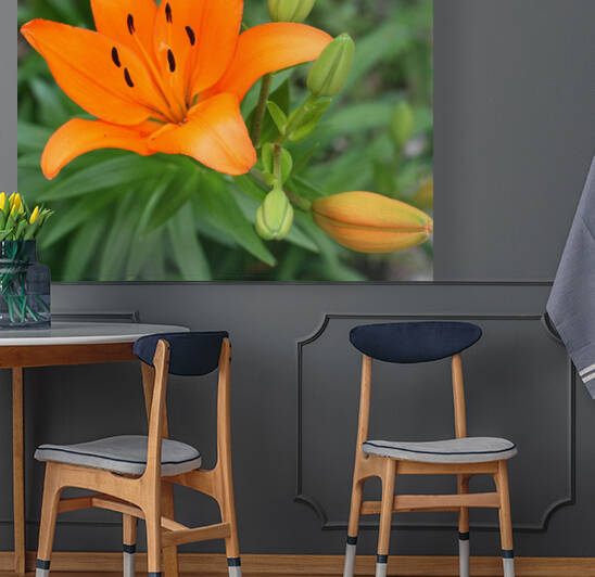 Orange Day Lily  by Ellen Barron OReilly