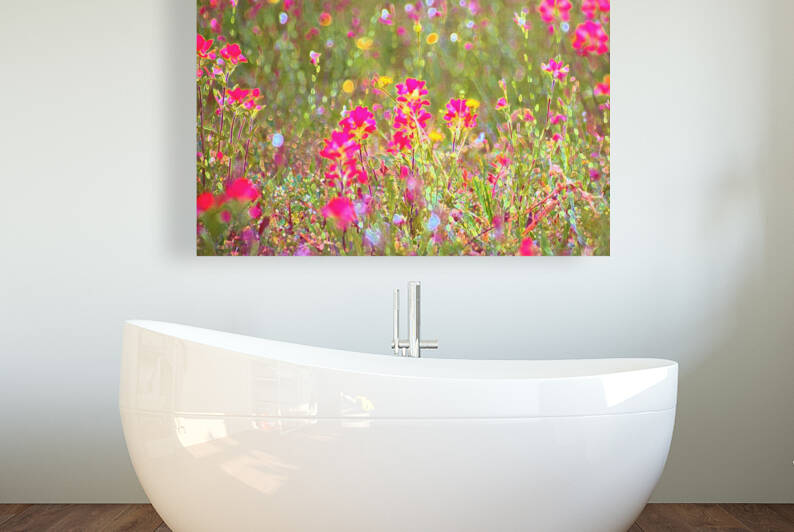 Colorful Varietal Wildflowers by Ellen Barron OReilly