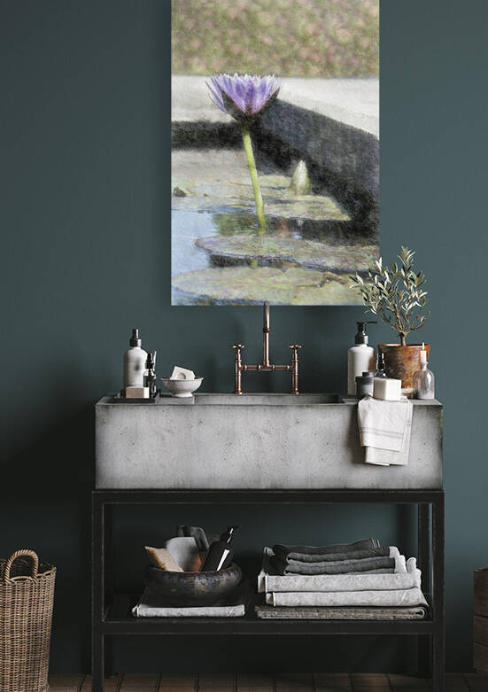 Water Lily by Ellen Barron OReilly