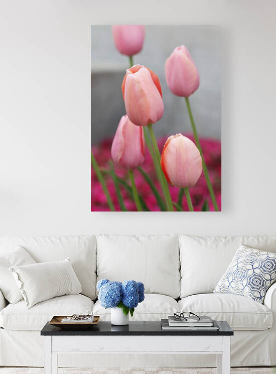 Tulips Painted by Ellen Barron OReilly