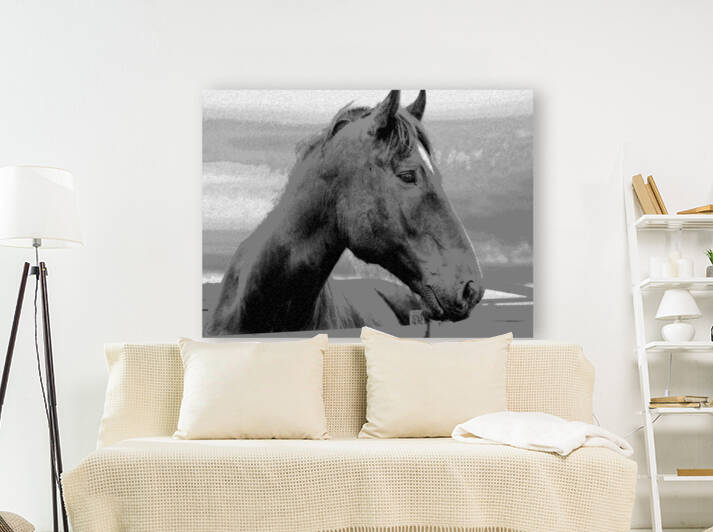 Horse Chalk Sketch  Reproduction