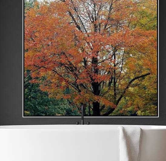 Vermont Fall Colors by Ellen Barron OReilly