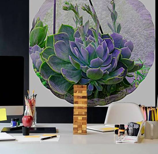 Colorful Cactus .jpg by Ellen Barron OReilly
