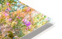 Daylilies  HD Metal print
