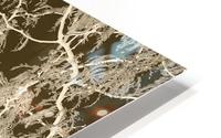Lacey Sepia Tree middle HD Metal print