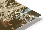 Lacey Sepia Tree right side HD Metal print