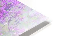 Purple Hideaway  HD Metal print