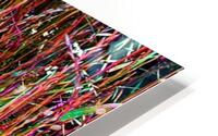 Colorful Grasses HD Metal print