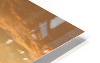 Bronzed Sunset Quote Large Vertical HD Metal print