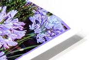 Painted Purple Flowers HD Metal print
