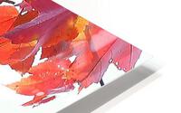Fall Colors  Painted Branch HD Metal print