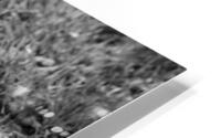 From the Grave HD Metal print