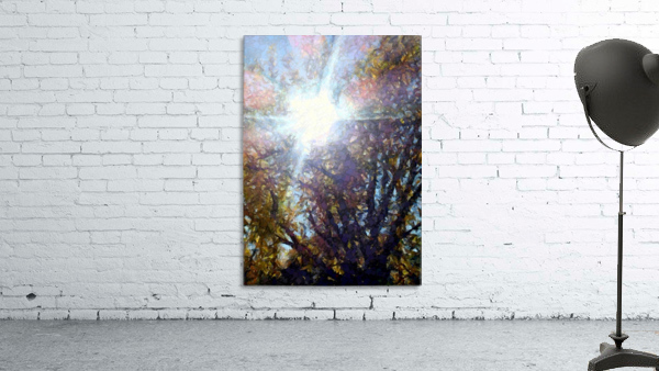 Rainbow Sunbeams  Wall Preview