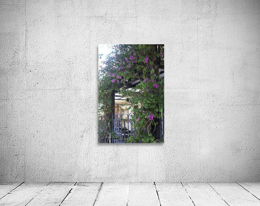 Naples Florida Patio Wall Preview