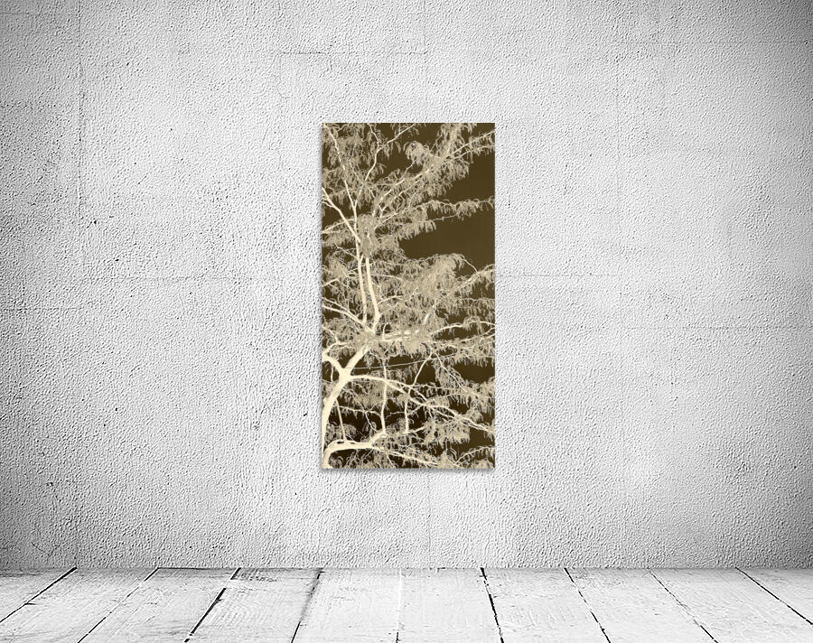 Lacey Sepia Tree right side Wall Preview